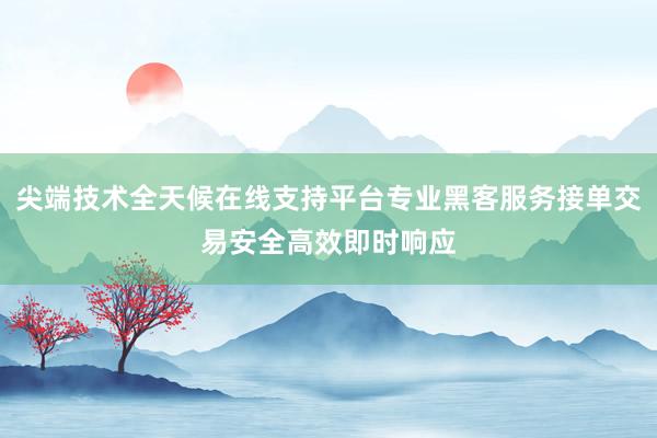 尖端技术全天候在线支持平台专业黑客服务接单交易安全高效即时响应
