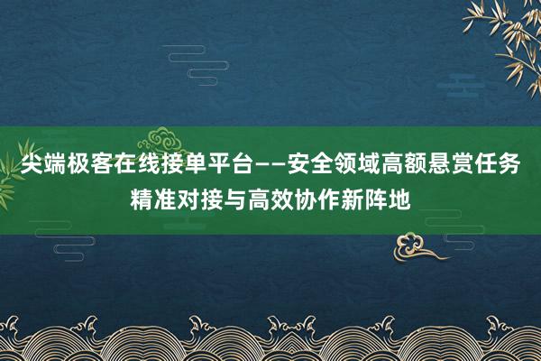 尖端极客在线接单平台——安全领域高额悬赏任务精准对接与高效协作新阵地