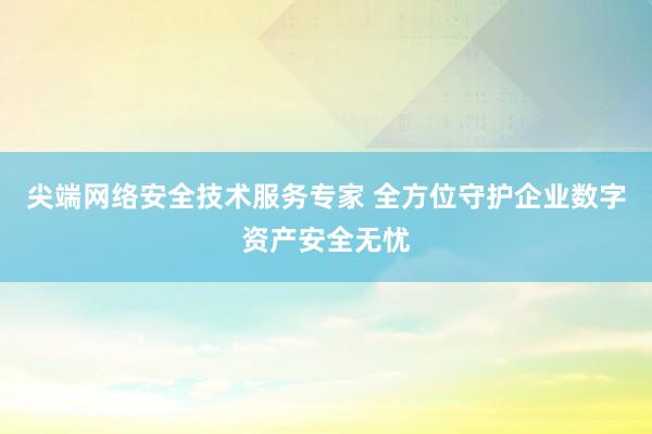 尖端网络安全技术服务专家 全方位守护企业数字资产安全无忧