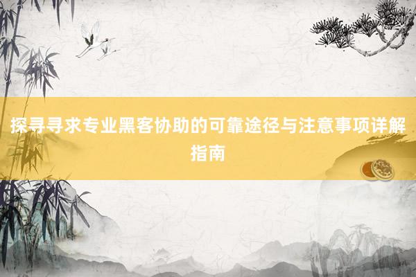 探寻寻求专业黑客协助的可靠途径与注意事项详解指南